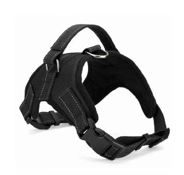 Nylon Heavy Duty Harness - Image #10