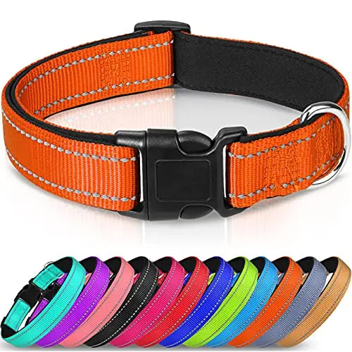 collar