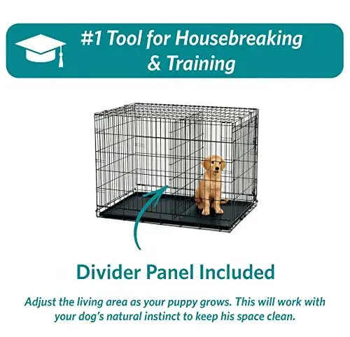 crate, dog