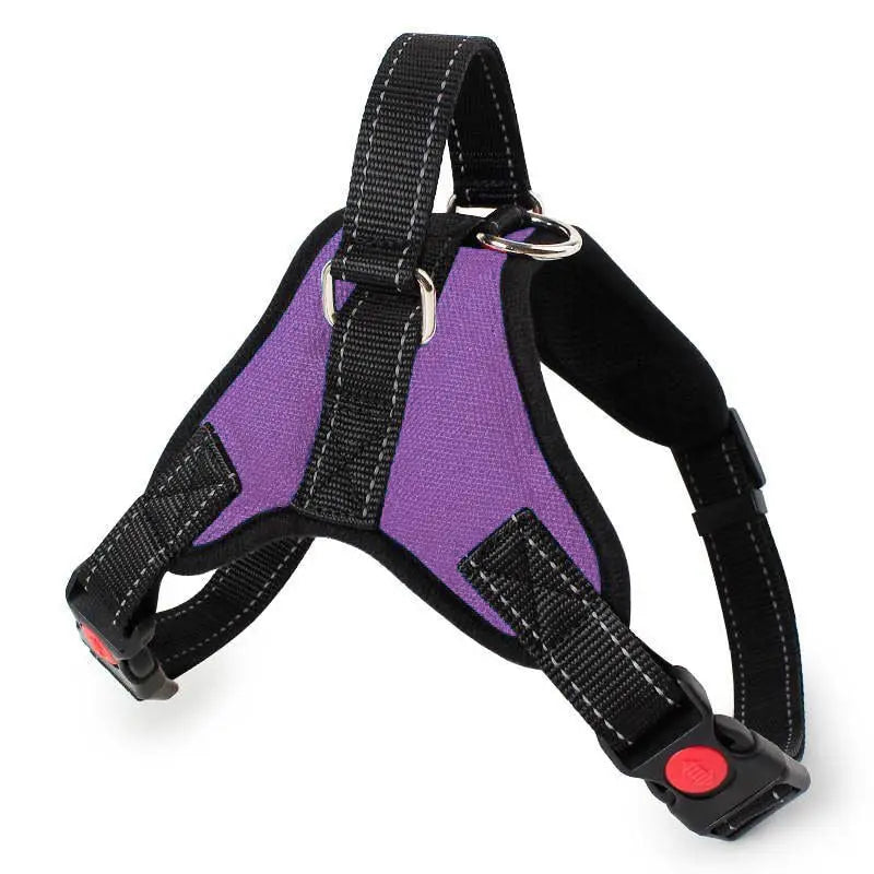 Nylon Heavy Duty Harness - Image #9