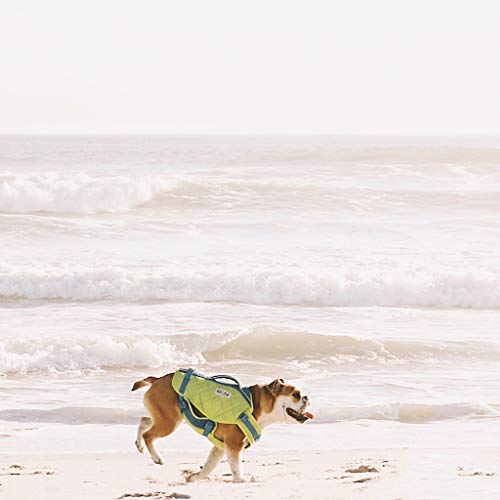 life vest, swim