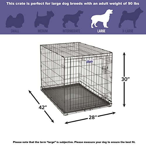 crate, dog