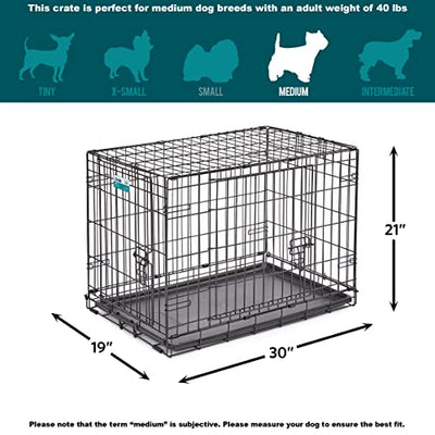 crate, dog
