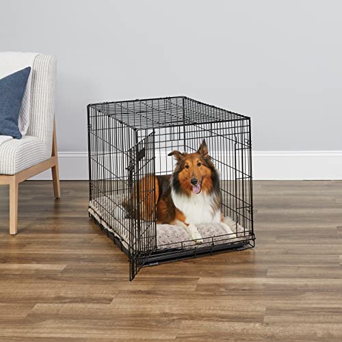 crate, dog