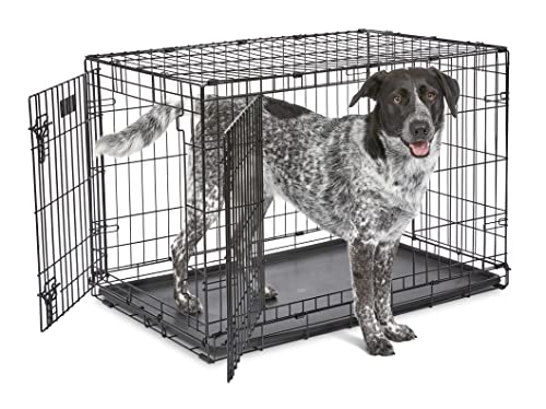 crate, dog