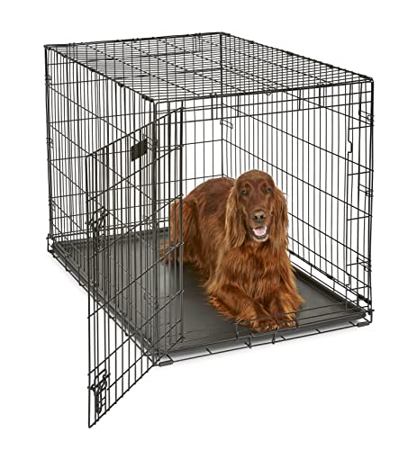 crate, dog