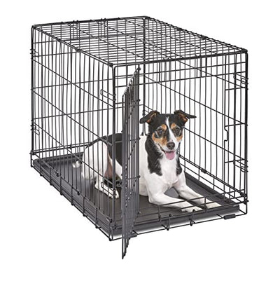 crate, dog
