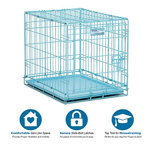 crate, dog
