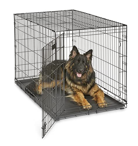 crate, dog