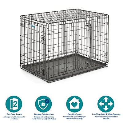 crate, dog
