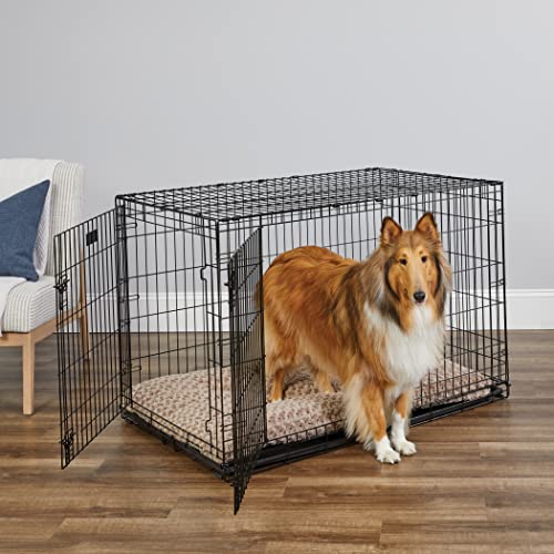 crate, dog