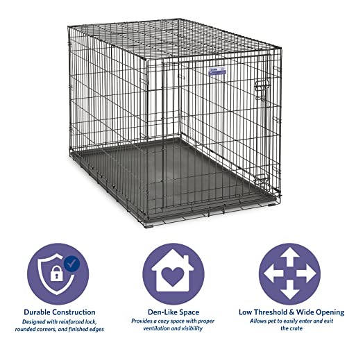 crate, dog
