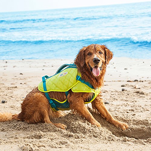 life vest, swim