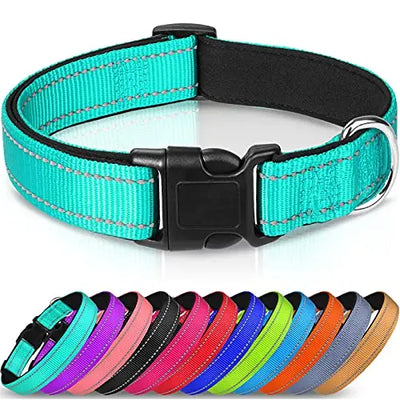 collar