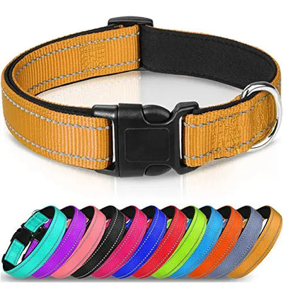 collar