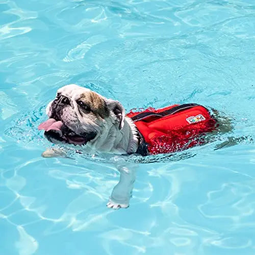 life vest, swim