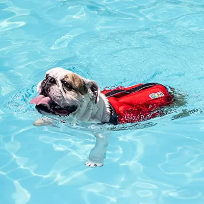 life vest, swim