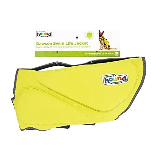 life vest, swim