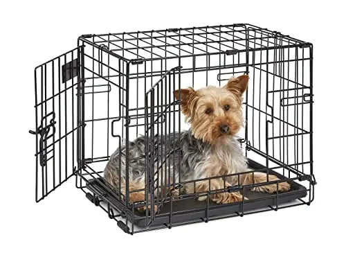 crate, dog