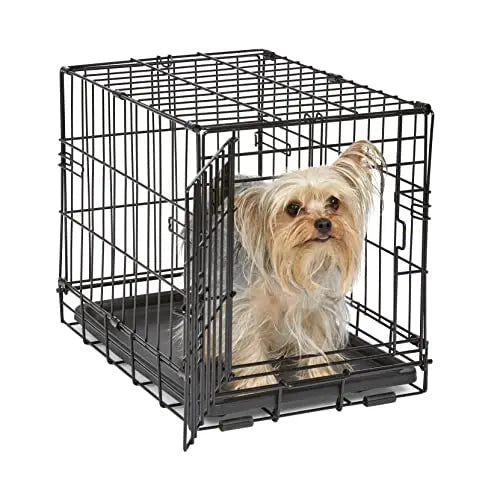 crate, dog