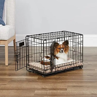 crate, dog